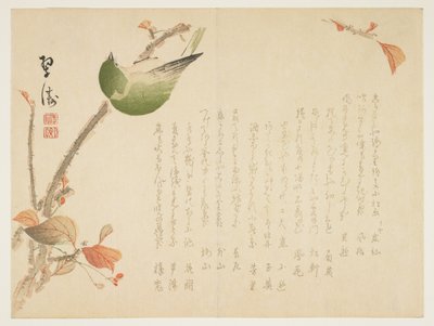 Japanische Nachtigall auf einem Ast von Suit
